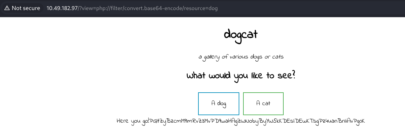 Base64 Output