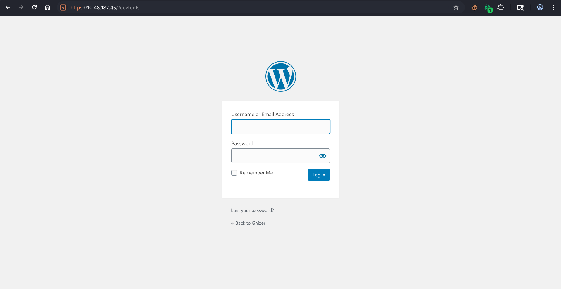 WordPress Site