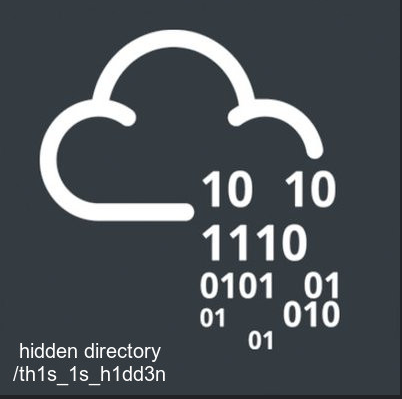 Hidden Directory Revealed